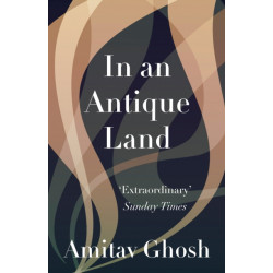 In an Antique Land