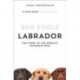 Labrador: The Story of the World’s Favourite Dog