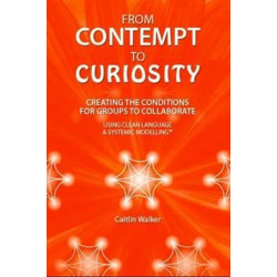 From Contempt to Curiosity: Creating the Conditions for Groups to Collaborate Using Clean Language and Systemic Modelling