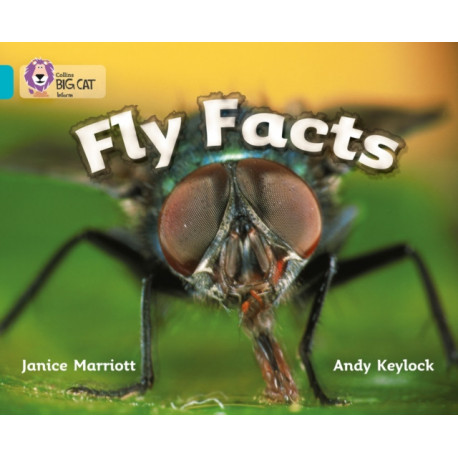 Fly Facts: Band 07/Turquoise