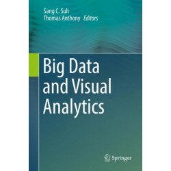 Big Data and Visual Analytics