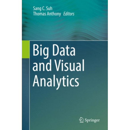 Big Data and Visual Analytics