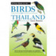 Field Guide to the Birds of Thailand