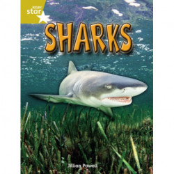 Rigby Star Independent Year 2 Gold Non Fiction Sharks Single