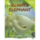 Rigby Star Guided Lime Level: Always Elephant Teaching Version