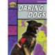 Rapid Stage 1 Set B: Daring Dogs(Series 1)