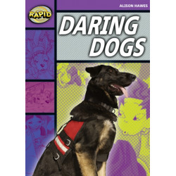 Rapid Stage 1 Set B: Daring Dogs(Series 1)