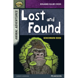 Rapid Stage 7 Assessment book: Lost and Found