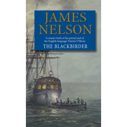 The Blackbirder: A captivating and thrilling adventure set on the high seas