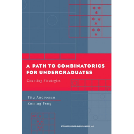 A Path to Combinatorics for Undergraduates: Counting Strategies