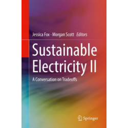 Sustainable Electricity II: A Conversation on Tradeoffs