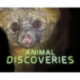 Animal Discoveries