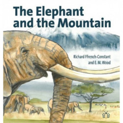 The Elephant and the Mountain