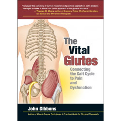 The Vital Glutes: Connecting the Gait Cycle to Pain and Dysfunction