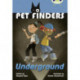 Bug Club Independent Fiction Year 4 Great A Pet Finders Go Underground