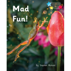 A Lot of Fun!: Phonics Phase 2