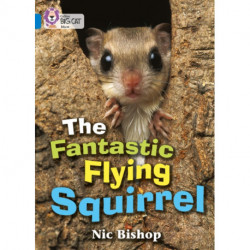 The Fantastic Flying Squirrel: Band 04/Blue