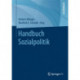 Handbuch Sozialpolitik