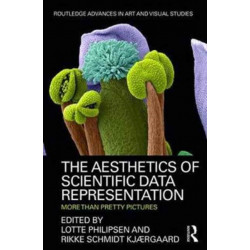 The Aesthetics of Scientific Data Representation: More than Pretty Pictures