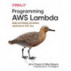 Programming AWS Lambda: Build and Deploy Serverless Applications with Java