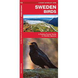 Sweden Birds: A Folding Pocket Guide to Familiar Species