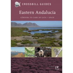 Eastern Andalucia: Cordoba to Cabo de Gata – Spain