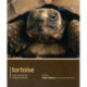 Tortoise - Pet Expert: Understanding and Caring for Your Pet