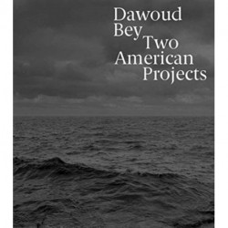 Dawoud Bey: Two American Projects