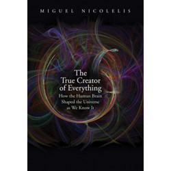 The True Creator of Everything: How the Human Brain Shaped the Universe as We Know It