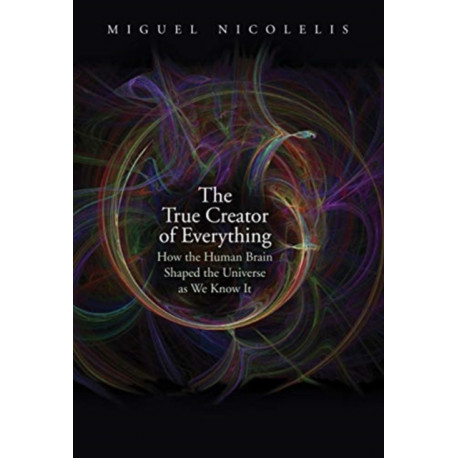 The True Creator of Everything: How the Human Brain Shaped the Universe as We Know It