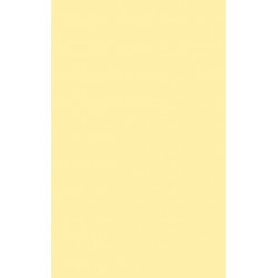 Defending Your Brand: How Smart Companies use Defensive Strategy to Deal with Competitive Attacks