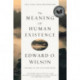The Meaning of Human Existence