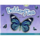 Bug Club Guided Non Fiction Year 1 Yellow A Butterflies