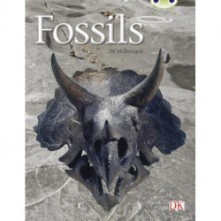 Bug Club Guided Non Fiction Year Two Gold A Fossils