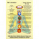 Chakras -- Laminated Folded A4: Their Characteristics, Associations & Reflexzones