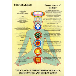 Chakras -- Laminated Folded A4: Their Characteristics, Associations & Reflexzones