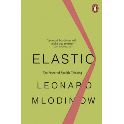 Elastic: The Power of Flexible Thinking