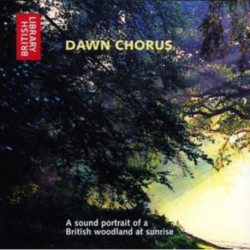Dawn Chorus: A Sound Portrait of a British Woodland at Sunrise