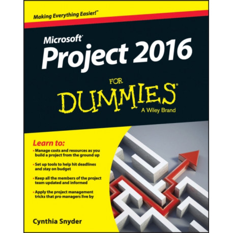 Project 2016 For Dummies