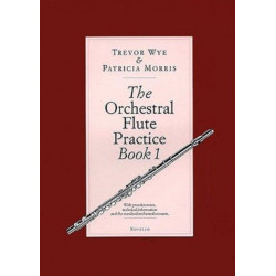 The Orchestral Flute Practice Book 1: The Orchestral Flute Practice Book 1