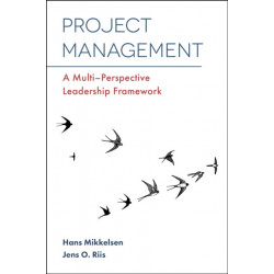 Project Management: A Multi-Perspective Leadership Framework
