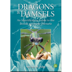 Dragons and Damsels: An identification guide to the British and Irish Odonata