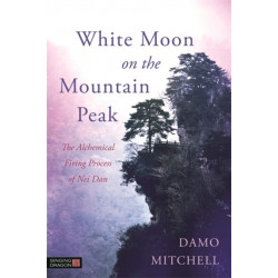 White Moon on the Mountain Peak: The Alchemical Firing Process of Nei Dan