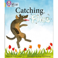 Catching Flies: Band 09/Gold