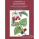 Cherries & Mulberries: Growing & Cooking