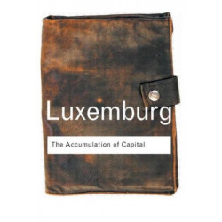 The Accumulation of Capital