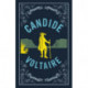 Candide: New Translation: Newly Translated and Annotated (Alma Classics Evergreens)
