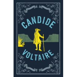 Candide: New Translation: Newly Translated and Annotated (Alma Classics Evergreens)