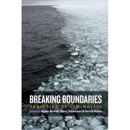 Breaking Boundaries: Varieties of Liminality