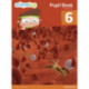 Science Bug Pupil Book Year 6